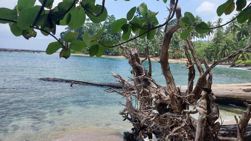 غرفة قياسية, Adhvasaha Beach Spa Resort