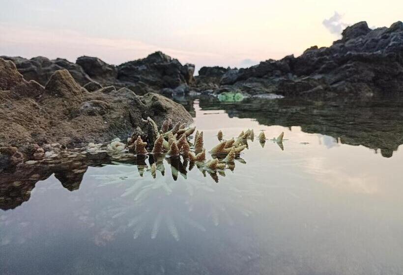 Люкс Superior Вид на Море, Adhvasaha Beach Spa Resort
