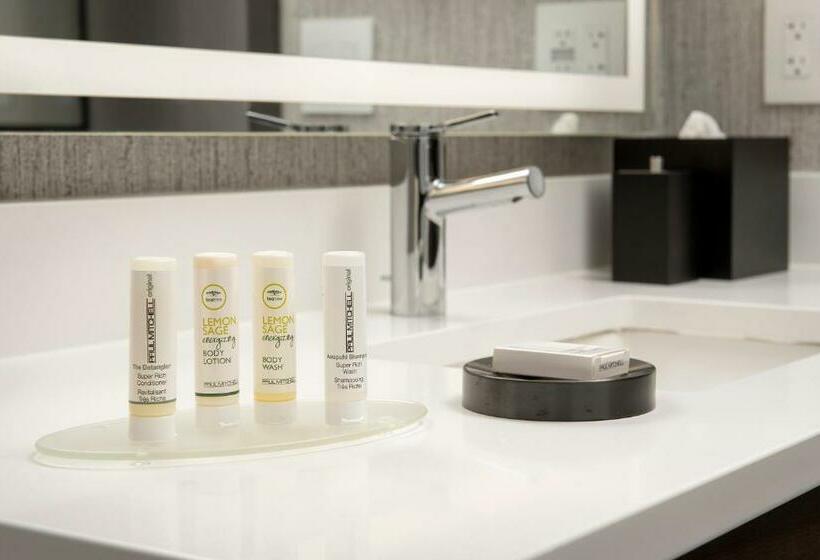 اتاق استاندارد, Residence Inn By Marriott Bozeman Downtown