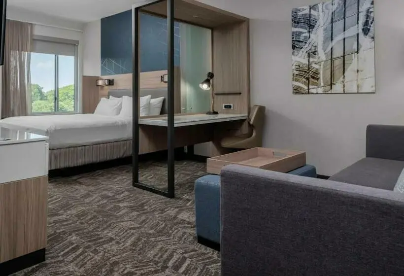 キングサイズベッドのスイートルーム, Springhill Suites By Marriott Charlotte Huntersville