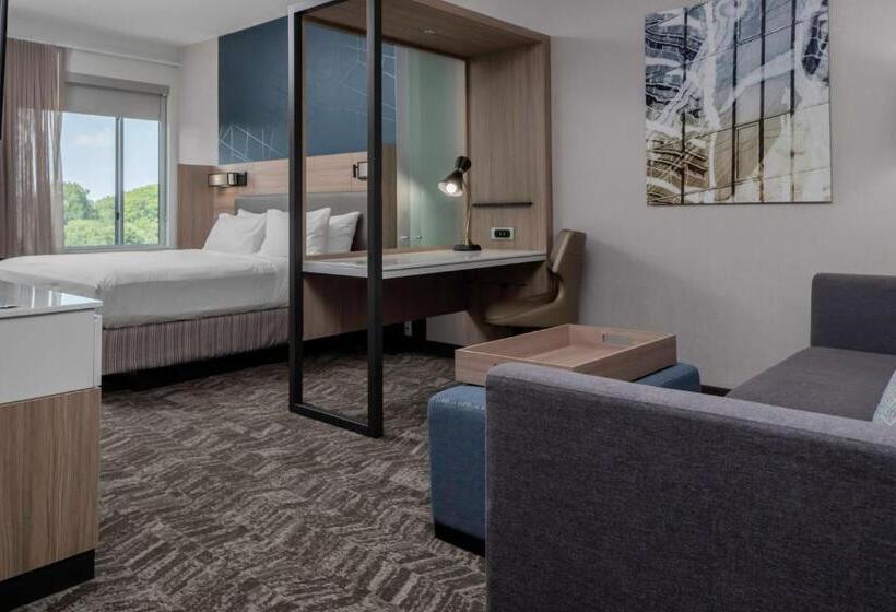 Люкс Кровать Кинг, Springhill Suites By Marriott Charlotte Huntersville