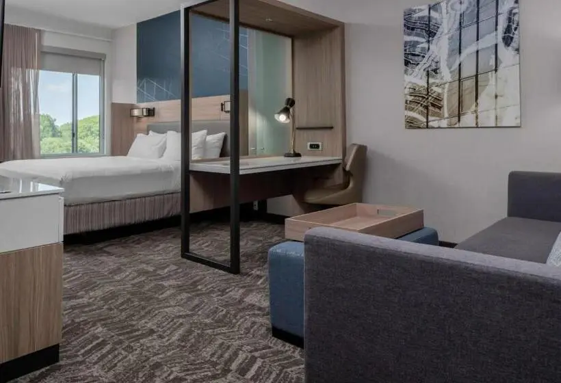 キングサイズベッドのスイートルーム, Springhill Suites By Marriott Charlotte Huntersville