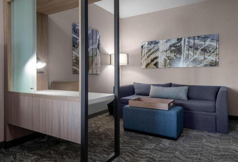 Люкс Кровать Кинг, Springhill Suites By Marriott Charlotte Huntersville