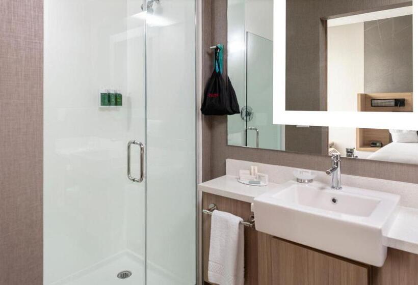 جناح, Springhill Suites By Marriott Charlotte Huntersville