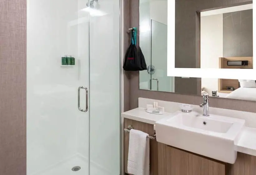 スイート, Springhill Suites By Marriott Charlotte Huntersville
