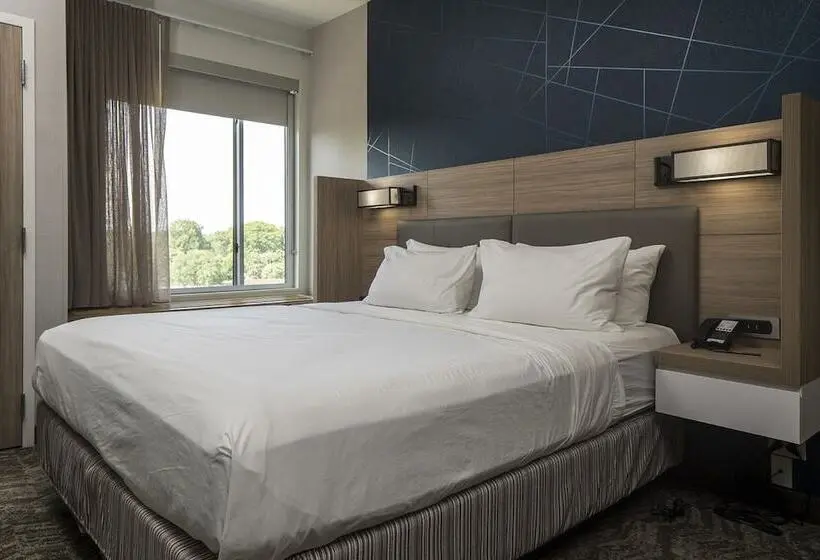 スイート, Springhill Suites By Marriott Charlotte Huntersville