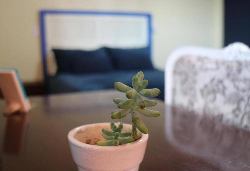 اتاق خانوادگی, Pousada Vitrine