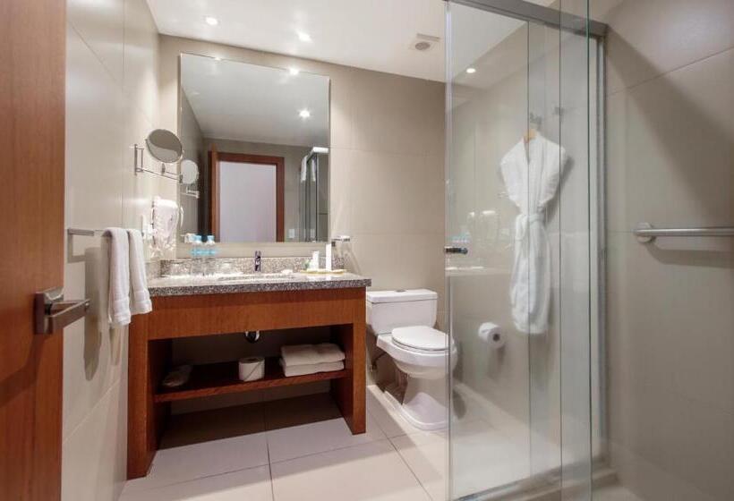 スタンダードルーム, Zen