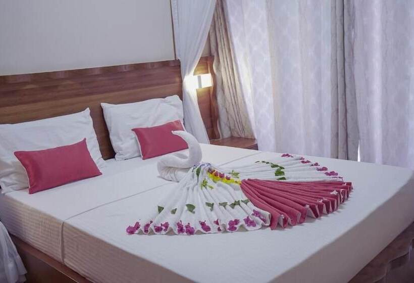 استودیوی استاندارد, Comster Mtwapa