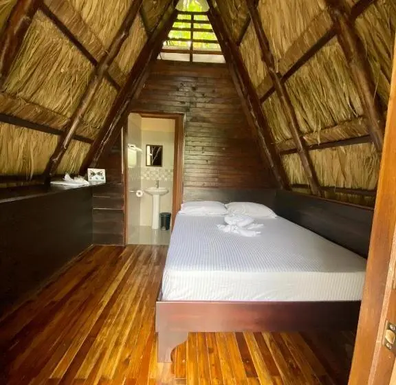 اتاق استاندارد, Termales Del Arenal