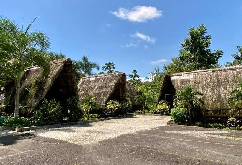 اتاق استاندارد, Termales Del Arenal