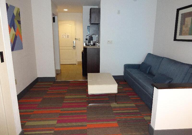 스위트 킹사이즈 침대, Holiday Inn Express International Drive, An Ihg