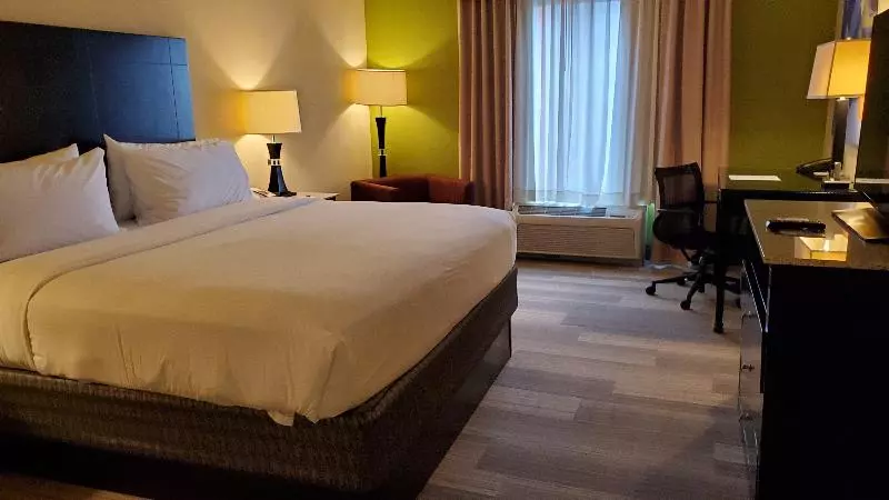اتاق استاندارد با تخت بزرگ, Holiday Inn Express International Drive, An Ihg