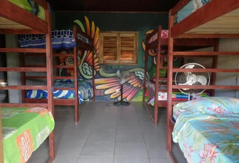 تختخواب در اتاق مشترک, Ruamoko Hostel