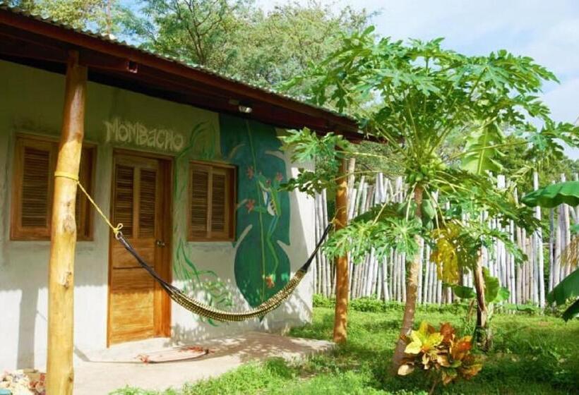 تختخواب در اتاق مشترک, Ruamoko Hostel