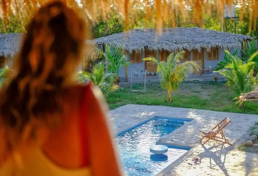 تختخواب در اتاق مشترک, Ruamoko Hostel