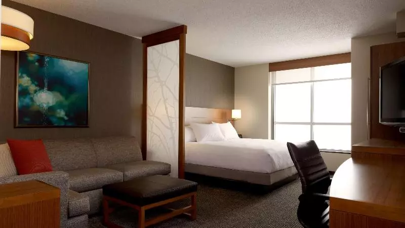 キングサイズベッドのデラックスルーム, Freer Executive Inn And Studios