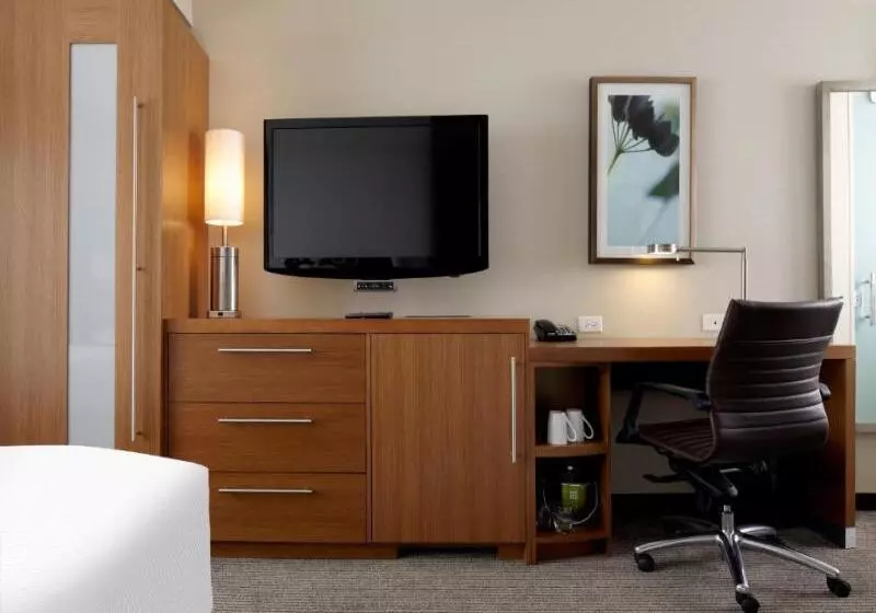 キングサイズベッドのデラックスルーム, Freer Executive Inn And Studios