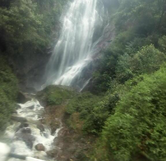 Quarto Familiar Deluxe, Queensark