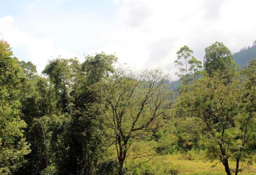 Quarto Triplo Estandar, Queensark