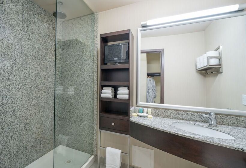 جناح ديلوكس, Acclaim Hotel By Clique