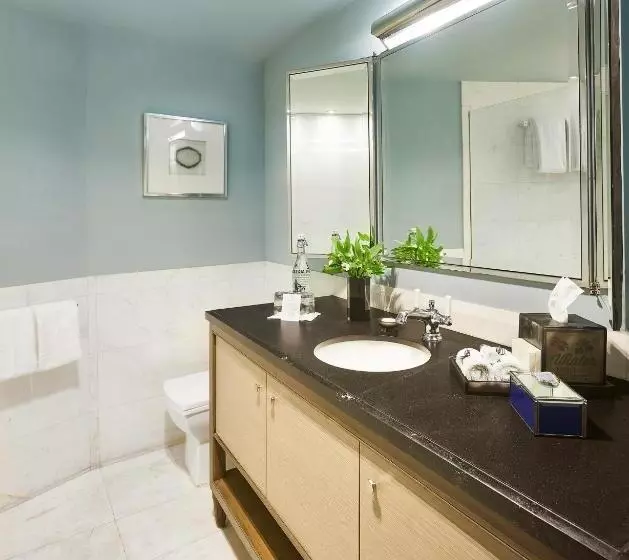 سوییت اجرایی, Hippodrome Hotel Condesa
