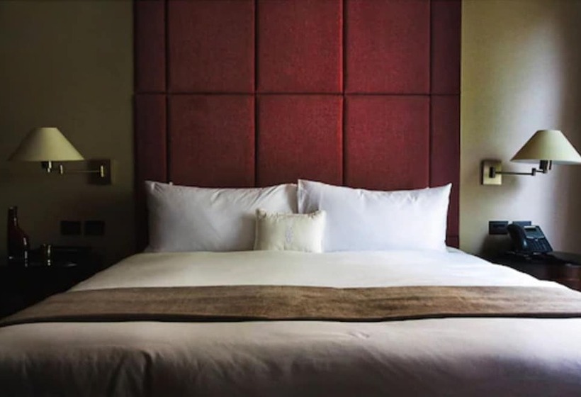 اتاق لوکس, Hippodrome Hotel Condesa