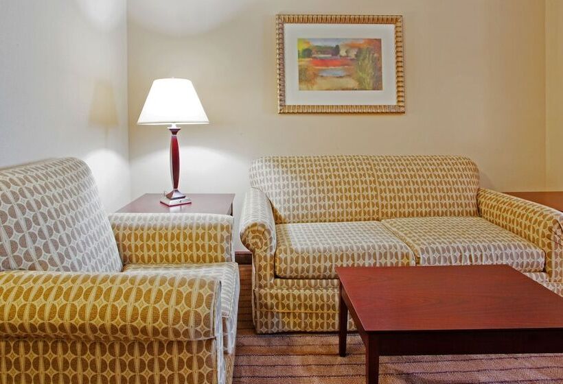 جناح, Holiday Inn Express Hotel & Suites Austell Powder Springs, An Ihg