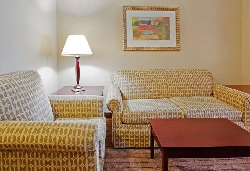 スイート, Holiday Inn Express Hotel & Suites Austell Powder Springs, An Ihg