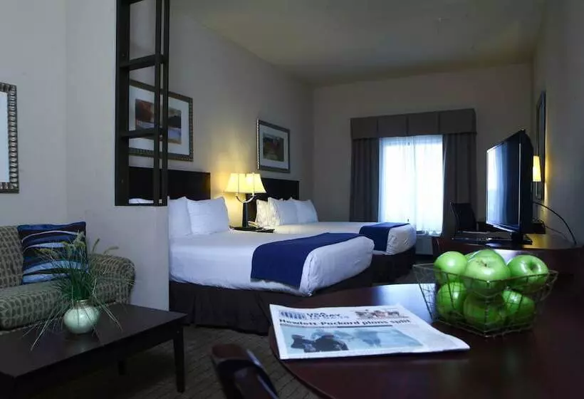 スイート, Holiday Inn Express Hotel & Suites Austell Powder Springs, An Ihg