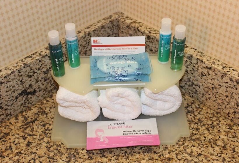 Люкс Адаптированный для Инвалидов, Holiday Inn Express Hotel & Suites Austell Powder Springs, An Ihg