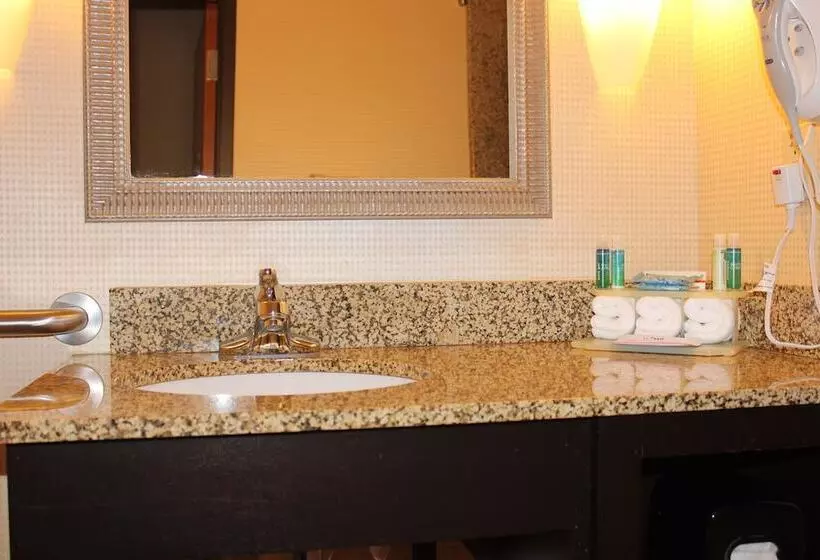 身障者適用スイートルーム, Holiday Inn Express Hotel & Suites Austell Powder Springs, An Ihg