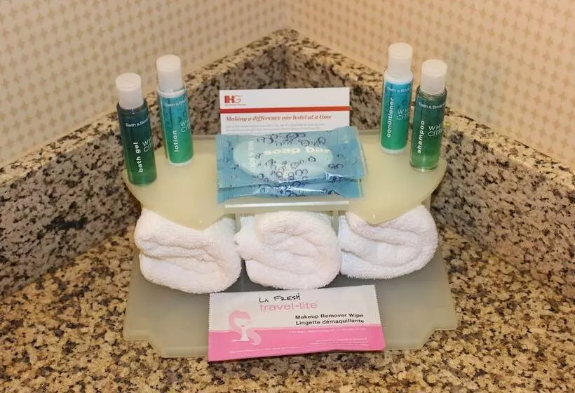 スタンダードルーム, Holiday Inn Express Hotel & Suites Austell Powder Springs, An Ihg