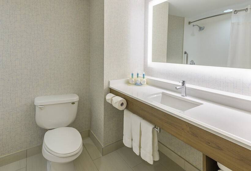 Люкс, Holiday Inn Express Hotel & Suites North Bay, An Ihg