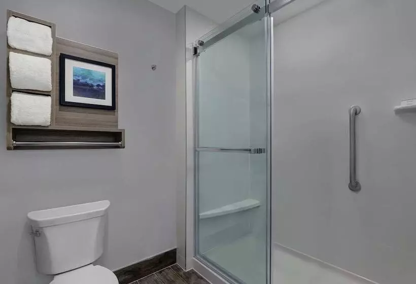 استودیوی استاندارد با تخت دوبل, Homewood Suites London Ontario