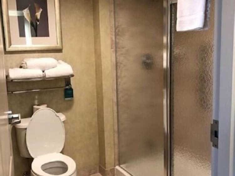 带按摩浴盆的套房, Homewood Suites By Hilton Toronto Markham