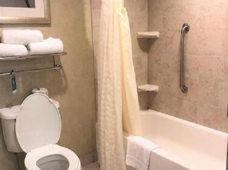 带2个卧室的套房, Homewood Suites By Hilton Toronto Markham