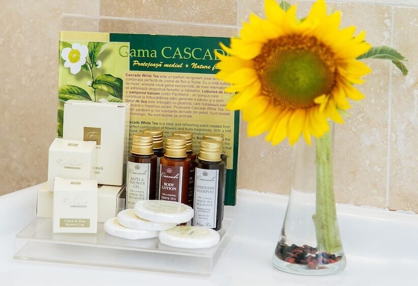 اتاق اجرایی, International Bucharest City Centre