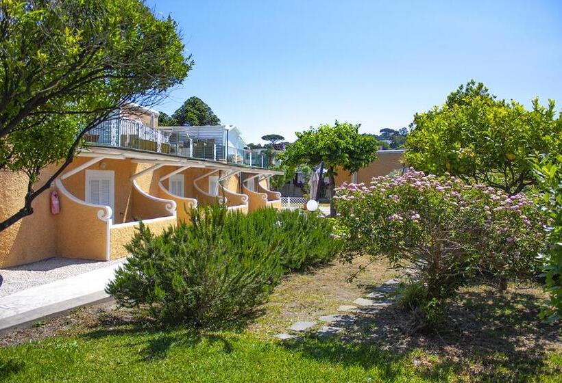 غرفة قياسية, Parco Delle Agavi