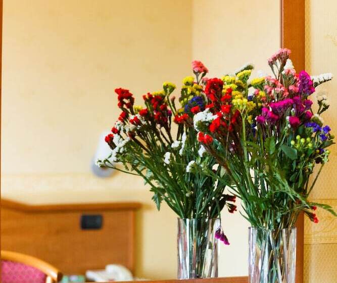 舒适型房间, Vald