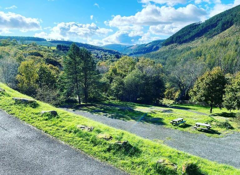 Стандартный Номер Кровать Кинг, Afan Lodge