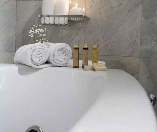 コンフォートルーム, Arni Hotel Domotel