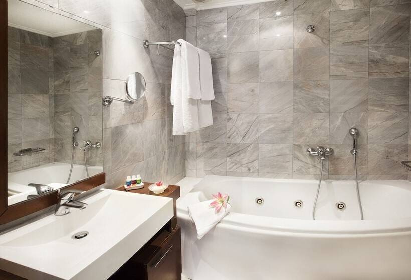 Полулюкс, Arni Hotel Domotel