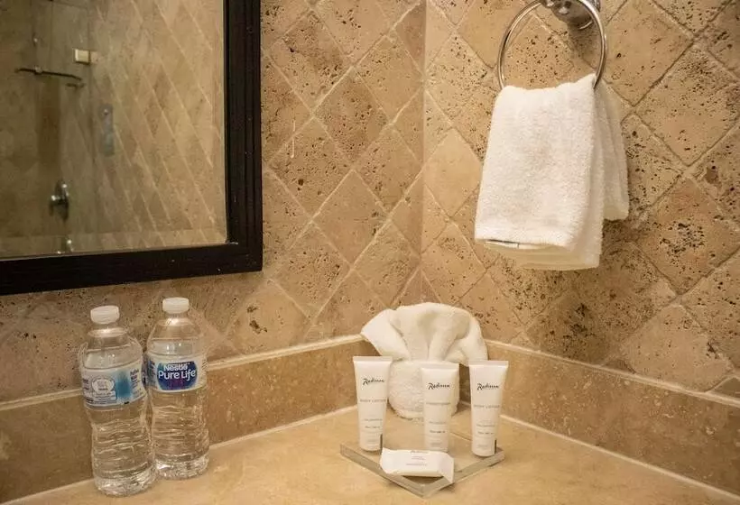 اتاق استاندارد با 2 تخت دوبل, Radisson Colon 2,000 Hotel & Casino