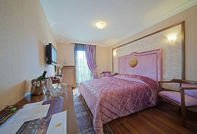 اتاق استاندارد, Antea Palace Hotel & Spa