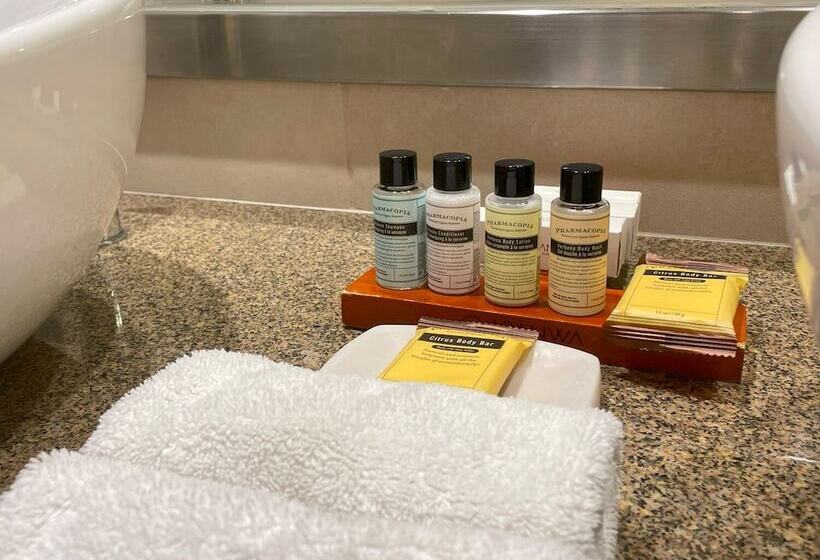 חדר דחוקס עם מיטת קינג, Aranwa Sacred Valley Hotel & Wellness