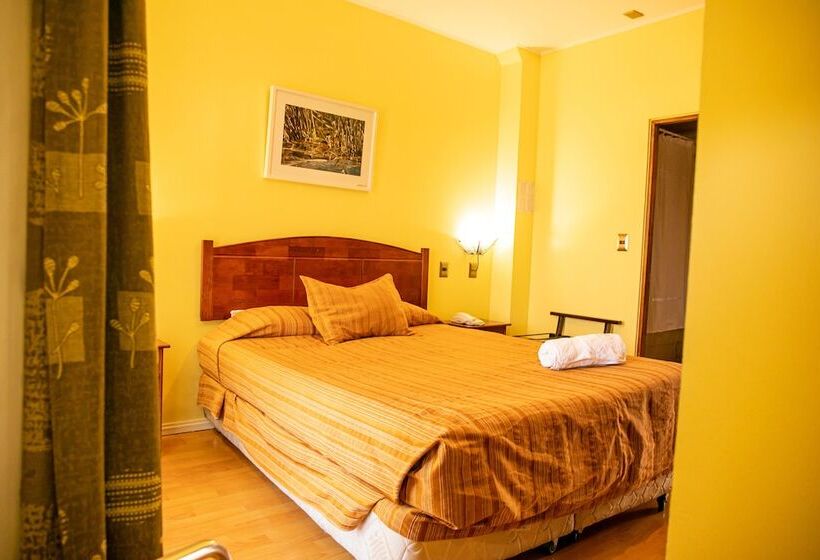 スタンダードシングルルーム, Ayelen Apart