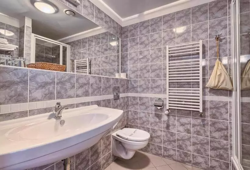 اتاق سوپریور یک تخته, Wellness Hotel Babylon