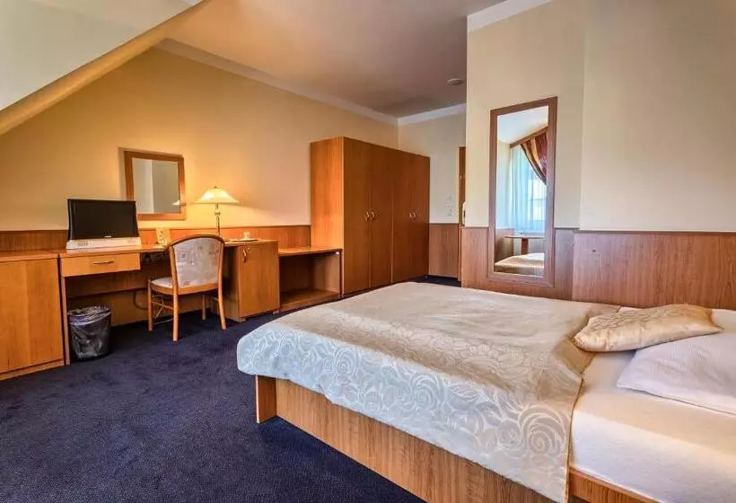 اتاق سوپریور یک تخته, Wellness Hotel Babylon