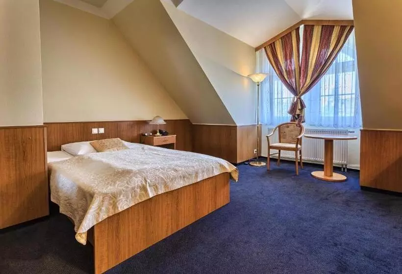اتاق سوپریور یک تخته, Wellness Hotel Babylon